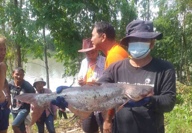 รวมกลุ่มจับปลาแปรรูปทำอาหารบรรเทาความเดือดร้อนช่วงโควิด