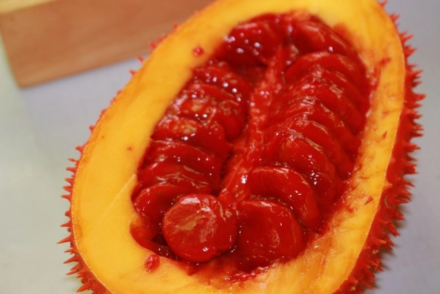 แปรรูป"ฟักข้าว"-ส่งออกสร้างรายได้งาม