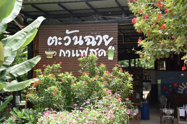 ซิกเนเจอร์!"กาแฟเย็นทุเรียนหลงหลับแล"