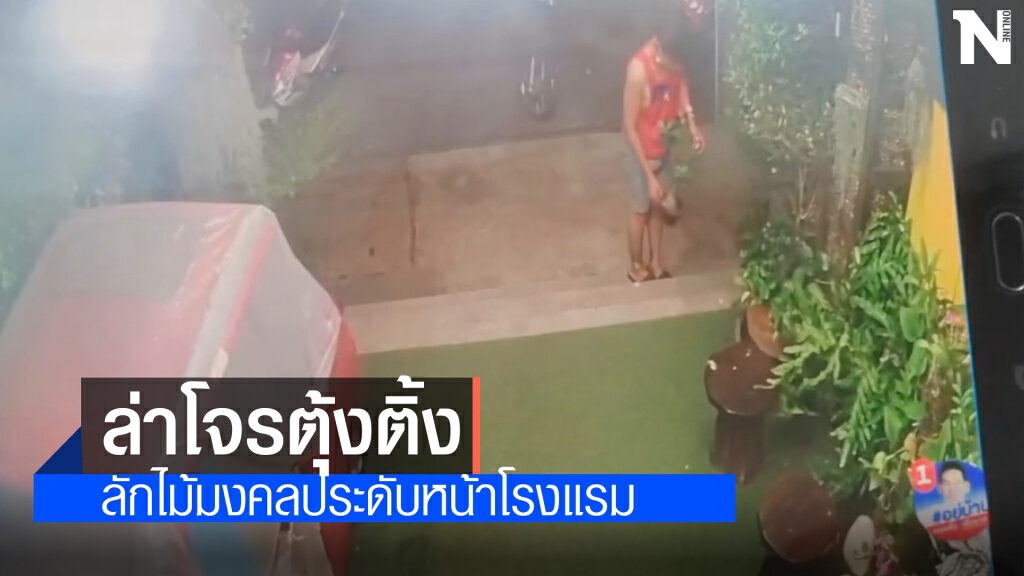 เปิดกล้องวงจรปิดล่าโจรตุ้งติ้งขี่ จยย.ลักต้นไม้มงคลหน้าโรงแรม