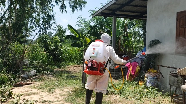 บุ้งขนบุกบ้าน ฝ่ายปกครองและกู้ภัยฉีดพ่นน้ำยากำจัดหลายร้อยตัว