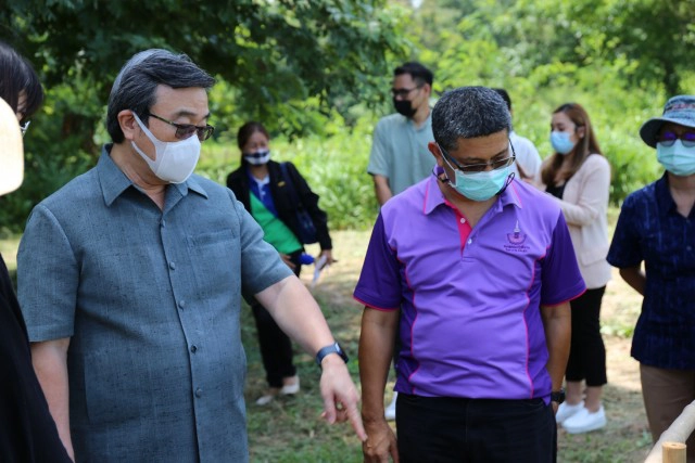 พบพืชชนิดใหม่ของโลกเฉพาะพื้นถิ่นโคราช จดชื่อ "แจงสุรนารี"