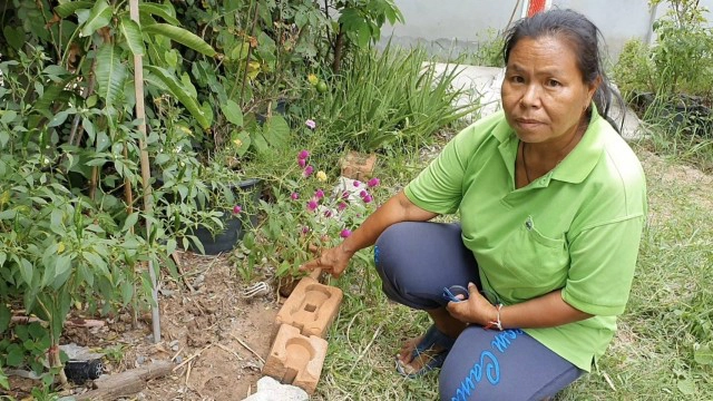เห็ดมือผีโผล่ใต้ศาลพระภูมิ ชาวบ้านเชื่อมาให้โชค