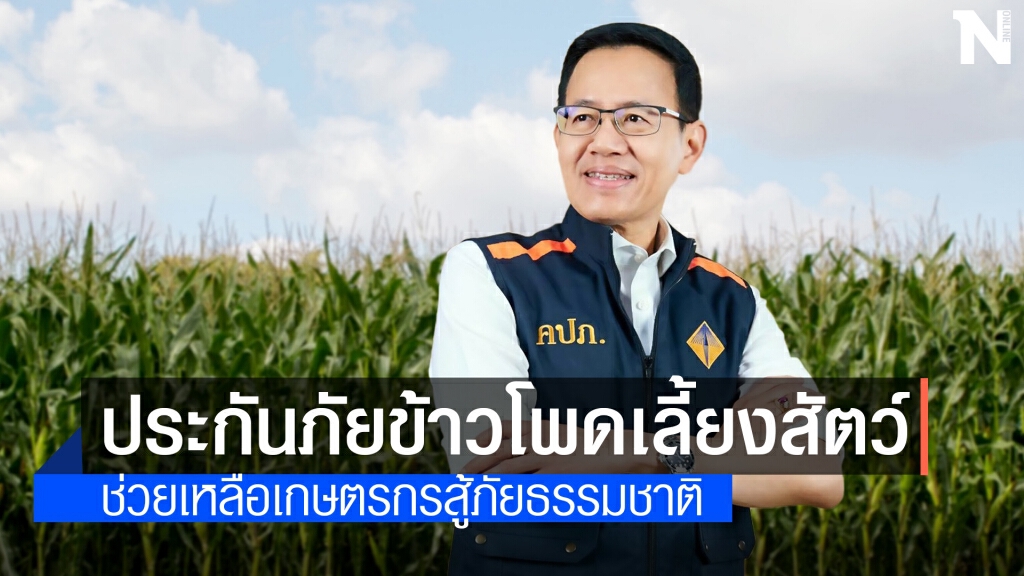 คปภ.ไฟเขียวแบบกรมธรรม์ประกันภัยข้าวโพดเลี้ยงสัตว์