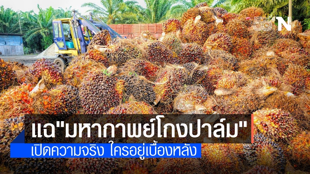 แฉขบวนการโกงปาล์มน้ำมัน "อธิราษฎร์" เปิดความจริง ใครอยู่เบื้องหลัง