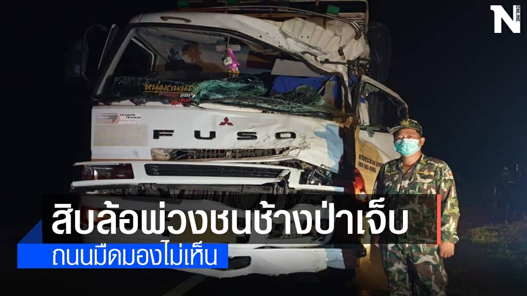 รถบรรทุกสิบล้อพ่วงพุ่งชนช้างป่าดงใหญ่บาดเจ็บ