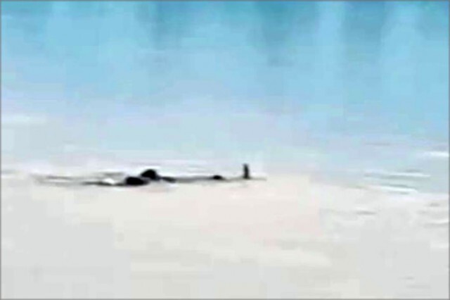 ช้างป่าภูวัวลอยน้ำข้ามโขง จนท.จัดชุดผลักดันเข้าป่าหากกลับมาฝั่งไทย