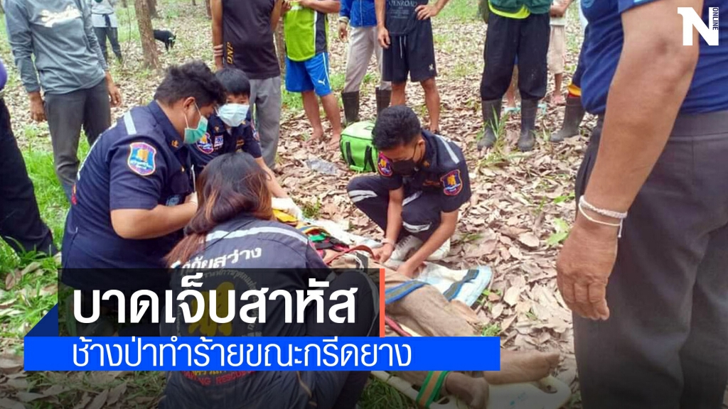 ช้างป่าภูวัวยังดุทำร้ายชาวสวนยางปอดฉีกอาการสาหัส ช้างป่าภูวัวยังดุทำร้ายชาวสวนยางปอดฉีกอาการสาหัส