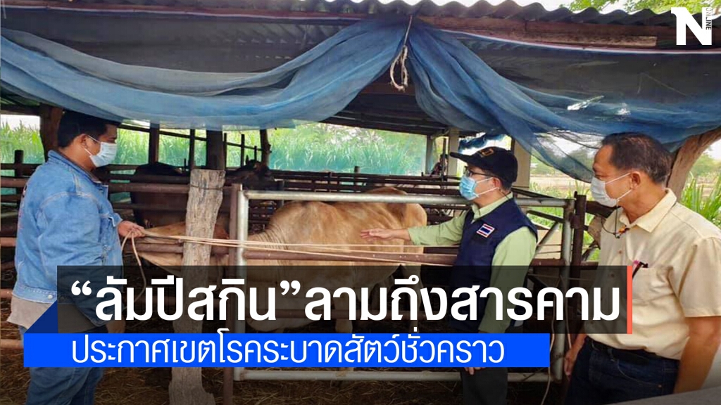 มหาสารคามประกาศเขตโรคระบาดสัตว์ชั่วคราว