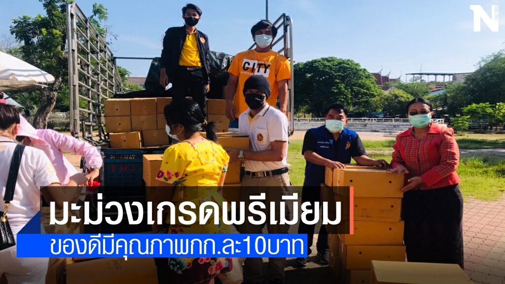 เร่งช่วยชาวสวนมะม่วงผลผลิตล้นนับหมื่นไร่ ตัดใจขายกก.10บาท