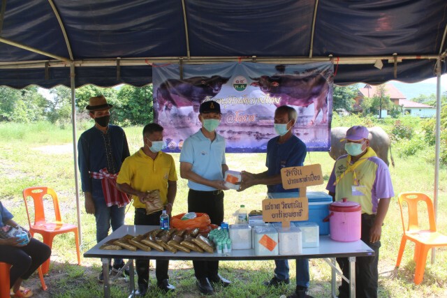 บ้านตลิ่งชันจัดกิจกรรมวันอนุรักษ์ควายไทยยุคโควิด19
