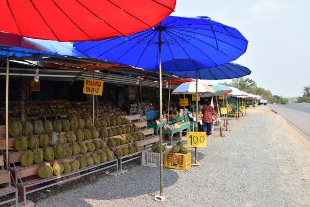 คุมเข้มรับซื้อผลไม้-มีใบรับรองไม่ติดเชื้อ