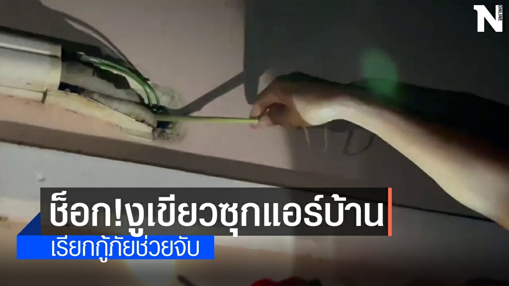 ผวา!งูเขียว5ตัวซุกแอร์บ้าน กู้ภัยจับระทึก