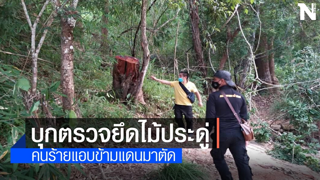 จนท.บุกตรวจยึดไม้ประดู่ ชาวลาว10-12คนลักลอบข้ามแดนมาตัด