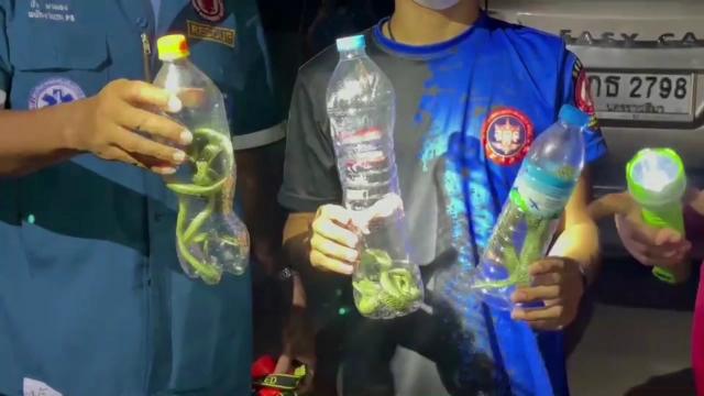 ผวา!งูเขียว5ตัวซุกแอร์บ้าน กู้ภัยจับระทึก