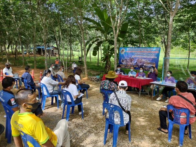 ประมูลวัวของกลางยาเสพติดกว่า 50 ตัวในพื้นที่ภาคใต้