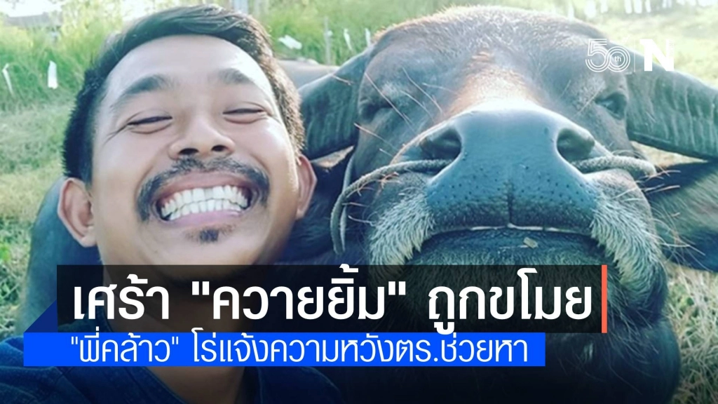 "พี่คล้าว" แจ้ง ตร."เจ้าควายยิ้ม" ถูกขโมยขนขึ้นรถกระบะ