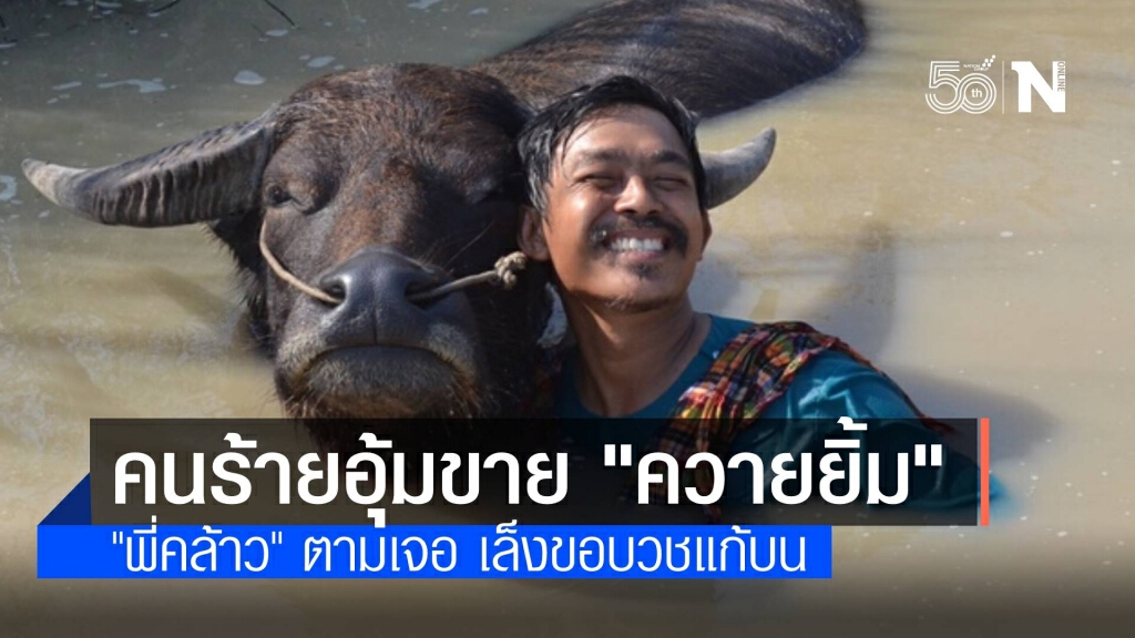 เจอแล้ว "ควายยิ้ม" ถูกอุ้มขาย "พี่คล้าว" ขอบวชแก้บน