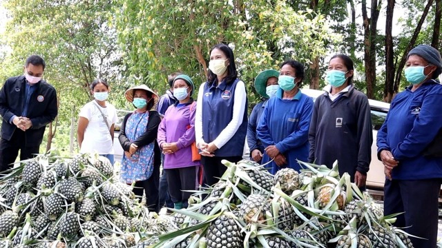 นายกฯขวัญ รวบรวมพันธมิตรควักเงินซื้อสับปะรดหวาน