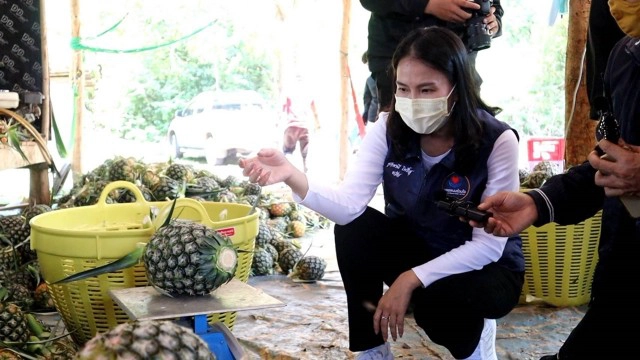 นายกฯขวัญ รวบรวมพันธมิตรควักเงินซื้อสับปะรดหวาน