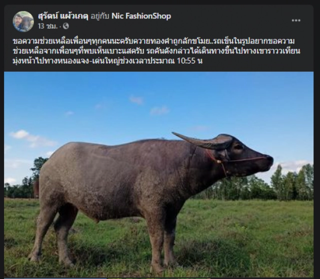 "พี่คล้าว" แจ้ง ตร."เจ้าควายยิ้ม" ถูกขโมยขนขึ้นรถกระบะ