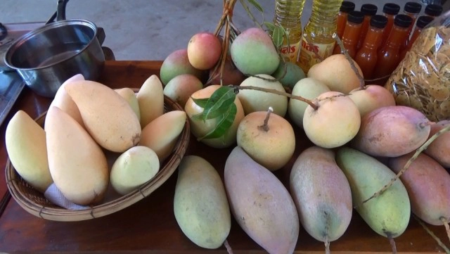 "ครูสาว"ต่อยอดผลมะม่วงสุก-ทำข้าวเกรียบ-น้ำจิ้มซอส