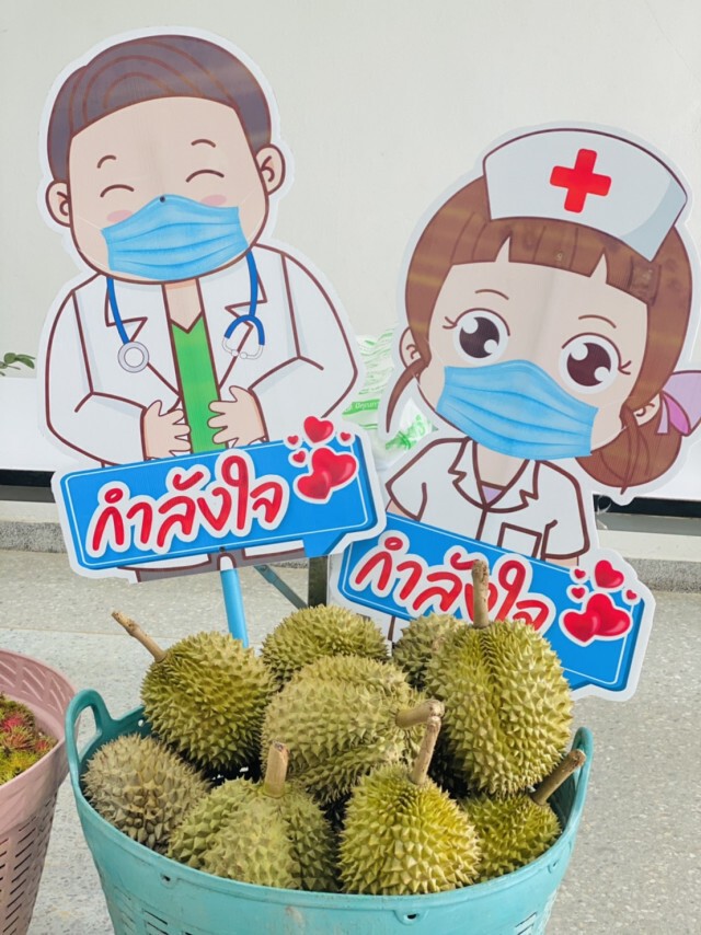 เหมาผลไม้ทุเรียนเมืองจันท์เลี้ยงหมอพยาบาล