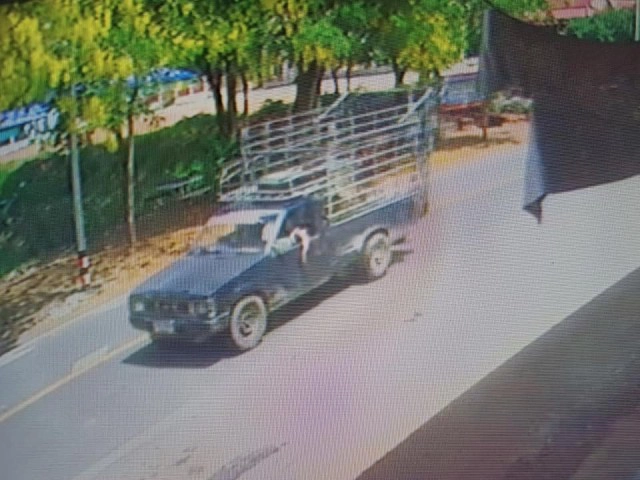 "พี่คล้าว" แจ้ง ตร."เจ้าควายยิ้ม" ถูกขโมยขนขึ้นรถกระบะ