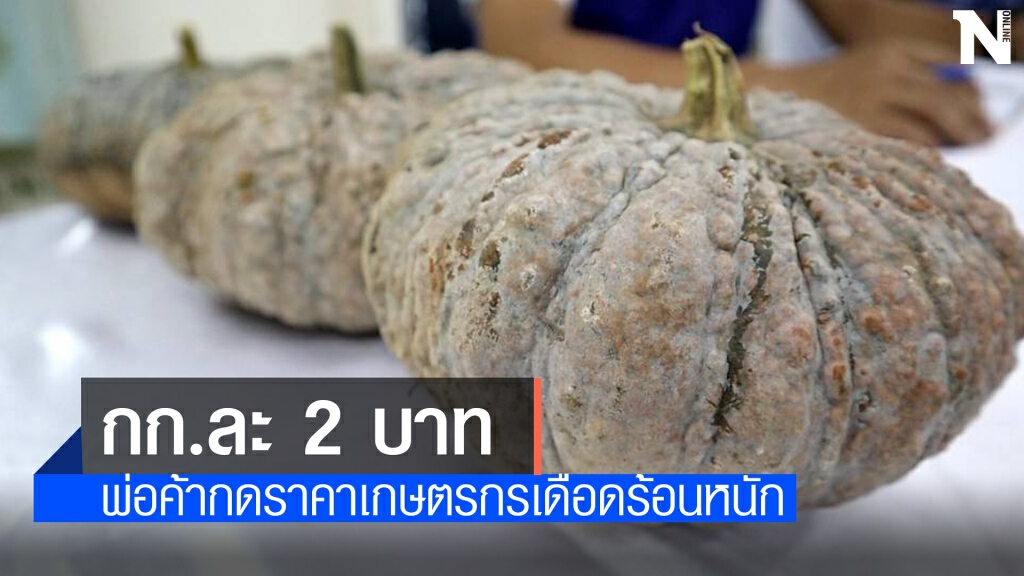 "ครูแก้ว" ตั้งกองทุนพยุงราคาฟักทอง หลังรับเรื่องเดือดร้อน "ครูแก้ว" ตั้งกองทุนพยุงราคาฟักทอง หลังรับเรื่องเดือดร้อน