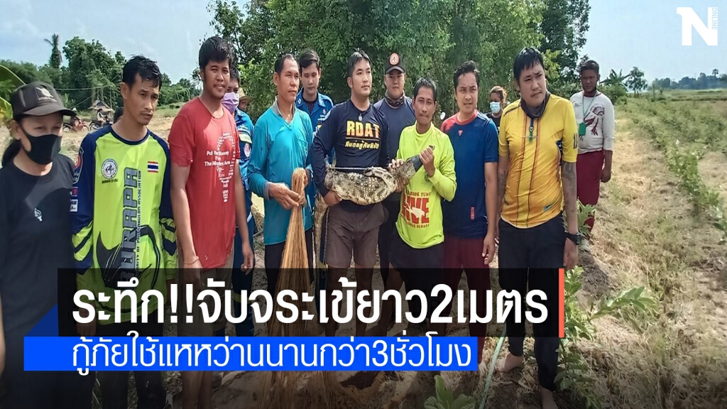 ชาวบ้านแจ้งกู้ภัยจับจระเข้หลุดจากฟาร์ม ชาวบ้านแจ้งกู้ภัยจับจระเข้หลุดจากฟาร์ม