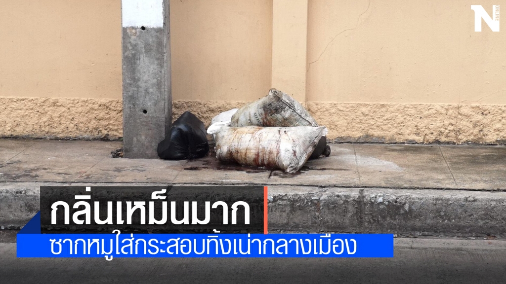 สุดจะทน คนมักง่ายนำซากหมูเน่ามาทิ้งกลางเมือง