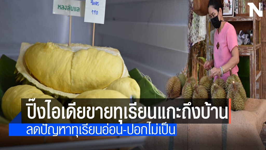 ชาวสวนอุตรดิตถ์ฮึดสู้โควิดขายทุเรียนหลงลับแลแกะส่งทั่วไทย