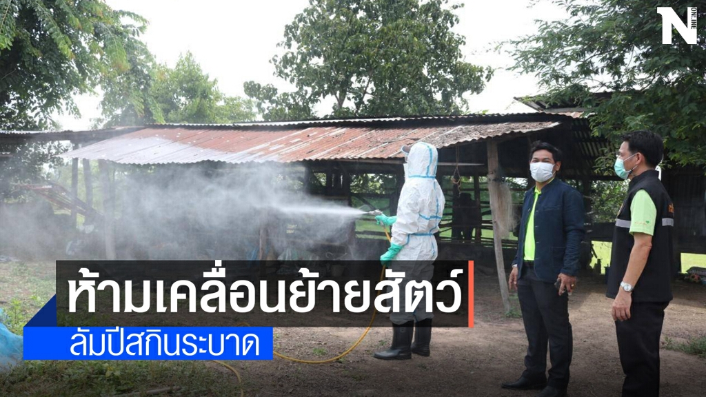 ปศุสัตว์ยโสธรลงพื้นที่ให้ความรู้ป้องกันโรคลัมปีสกิน