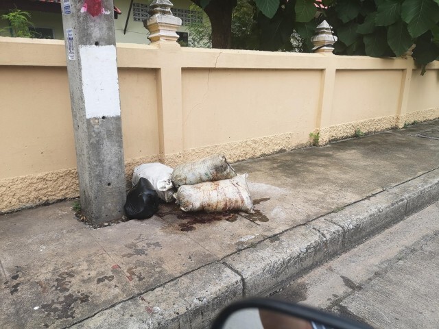 สุดจะทน คนมักง่ายนำซากหมูเน่ามาทิ้งกลางเมือง