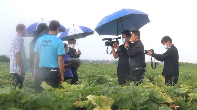 "ครูแก้ว" ตั้งกองทุนพยุงราคาฟักทอง หลังรับเรื่องเดือดร้อน