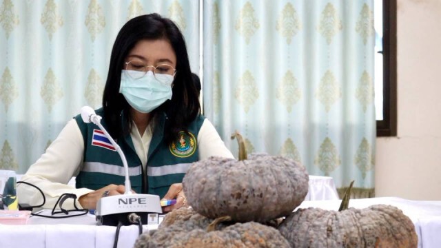 "ครูแก้ว" ตั้งกองทุนพยุงราคาฟักทอง หลังรับเรื่องเดือดร้อน