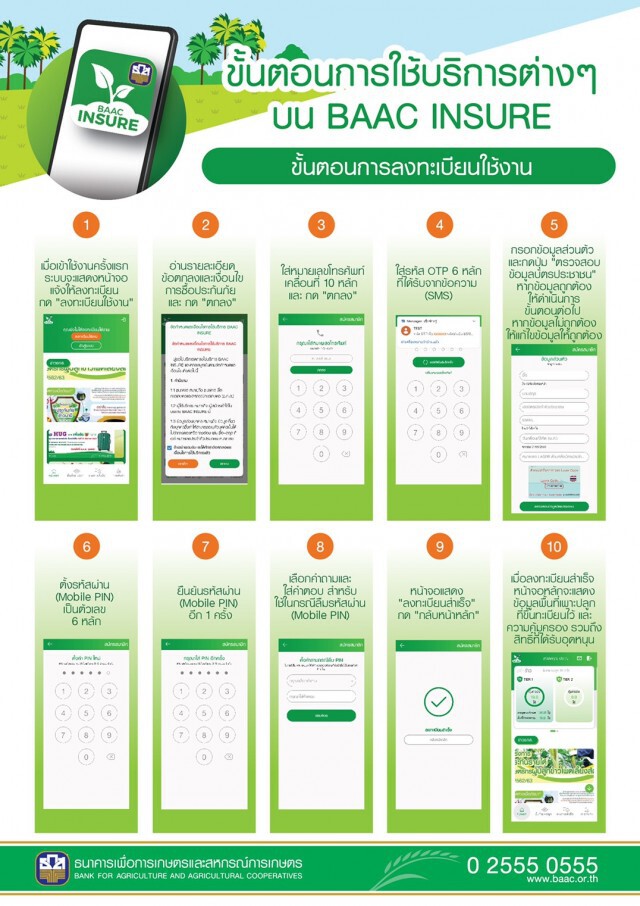 ธ.ก.ส.พร้อมรับทำประกันภัยข้าวโพดเลี้ยงสัตว์ ปีการผลิต 64