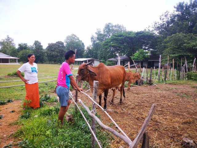 ประกาศเขตโรคระบาดทั้งจังหวัดพบสัตว์ป่วยโรคลัมปีสกินหลายอำเภอ