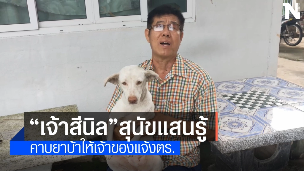 เจ้าสีนิลสุนัขคาบถุงหิ้วใส่ยาบ้า2พันเม็ดมาให้เจ้าของอู่รีบแจ้งตร.