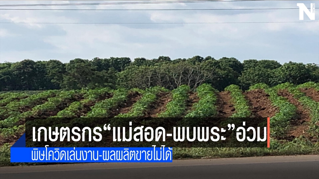 เกษตรกร"แม่สอด-พบพระ"ถูกพิษโควิดอ่วม เกษตรกร"แม่สอด-พบพระ"ถูกพิษโควิดอ่วม