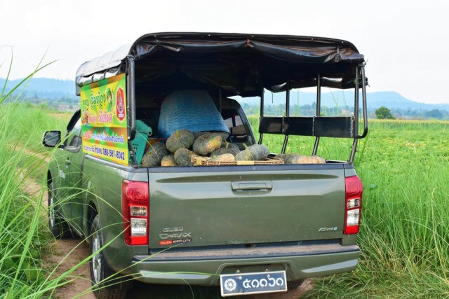 ทหารจัดรถสายันต์รับซื้อฟักทอง 300 กก. ช่วยเกษตรกรบ้านแพง