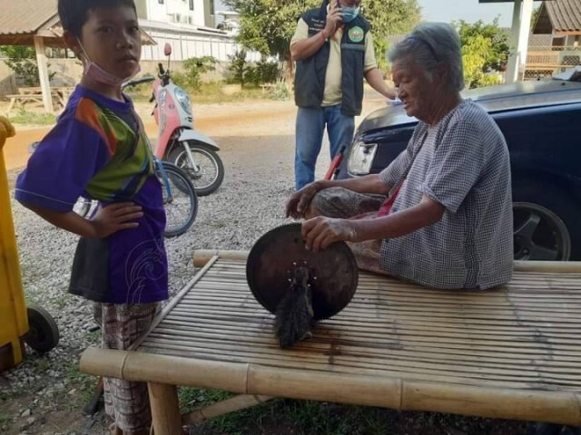 เร่งช่วยเหลือ"แมว"หัวติดรูคลัทช์