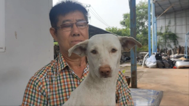 เจ้าสีนิลสุนัขคาบถุงหิ้วใส่ยาบ้า2พันเม็ดมาให้เจ้าของอู่รีบแจ้งตร.