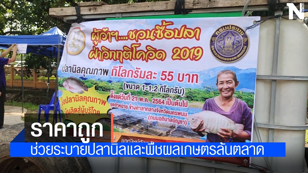ตั้งเต็นท์วางจำหน่ายปลานิลสด ช่วยเหลือผู้เลี้ยง