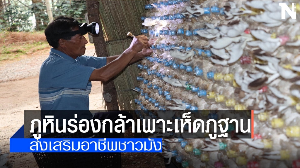 "ภูหินร่องกล้า"เพาะเห็ดภูฐาน-ส่งเสริมอาชีพชาวม้ง
