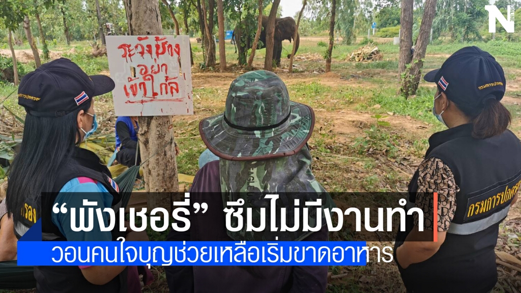 "พังเชอรี่" เหงาซึม ไม่มีงานทำหลังทำร้าย นทท.เสียชีวิต
