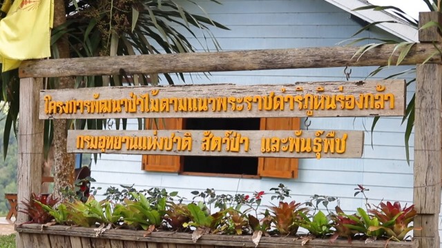 "ภูหินร่องกล้า"เพาะเห็ดภูฐาน-ส่งเสริมอาชีพชาวม้ง