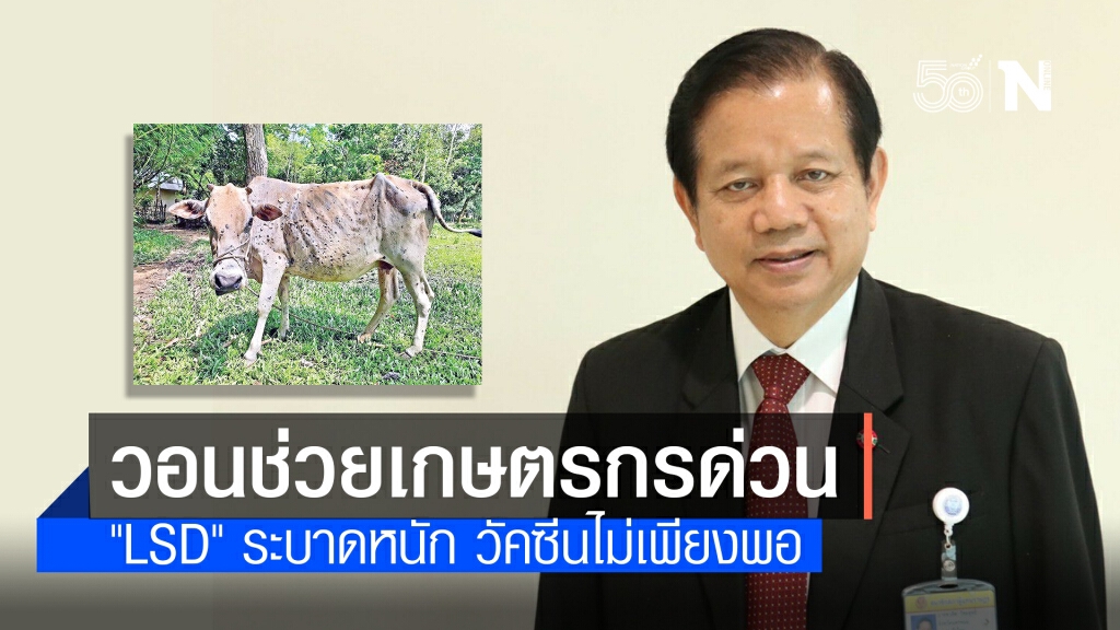 ส.ส.เพื่อไทยวอนช่วยเกษตรกรด่วน หลังมีโรคระบาดหนักในโค-กระบือ ส.ส.เพื่อไทยวอนช่วยเกษตรกรด่วน หลังมีโรคระบาดหนักในโค-กระบือ
