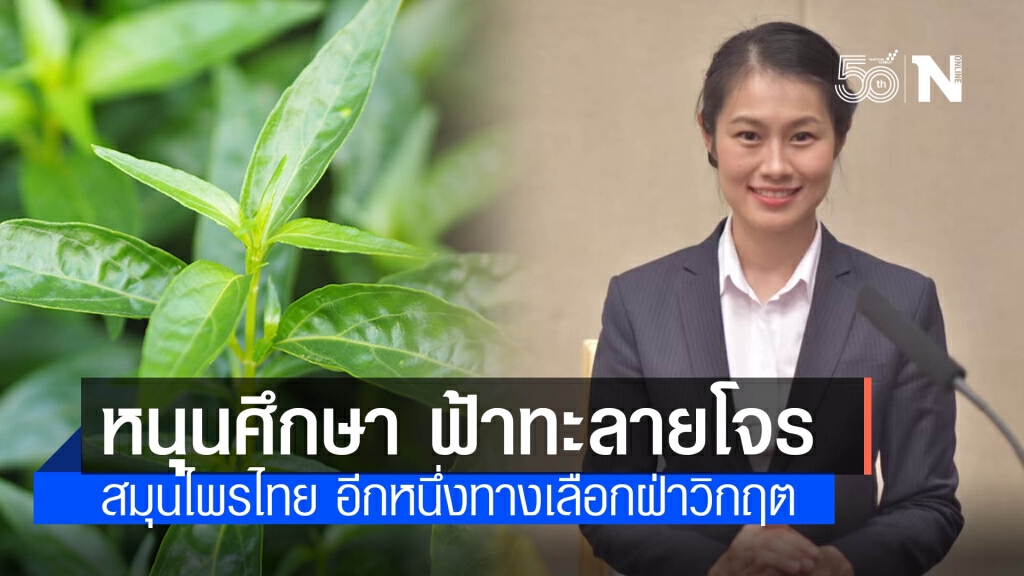 "พัชรินทร์" หนุนศึกษา ฟ้าทะลายโจร บรรเทาโควิด-19 หวังสธ.สนับสนุนงานวิจัยสมุนไพรไทย "พัชรินทร์" หนุนศึกษา ฟ้าทะลายโจร บรรเทาโควิด-19 หวังสธ.สนับสนุนงานวิจัยสมุนไพรไทย