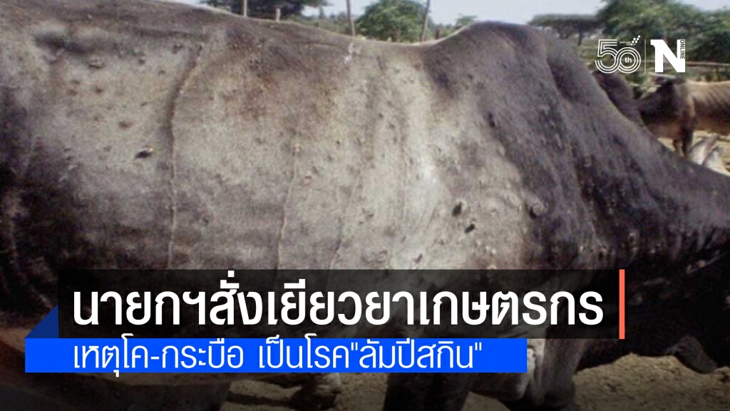"นายกฯ" ห่วงเกษตรกรจากการระบาดโรค "Lumpy Skin Disease" ในโค-กระบือ สั่งพิจารณามาตรการเยียวยา